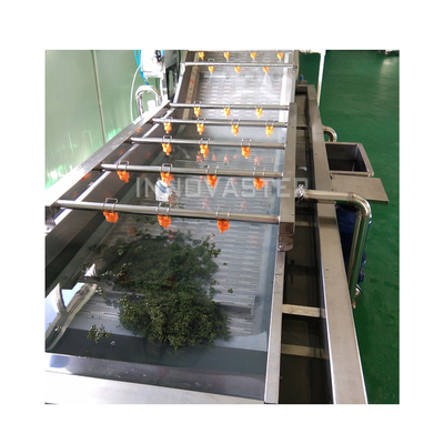 Ligne de lavage par bulles de fruits et légumes industriels avec machine à laver à l'eau d'ozone