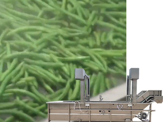 Recyclage de l'eau SUS 304 Gantry Lift Tank La machine à laver les légumes et les fruits pour la conception