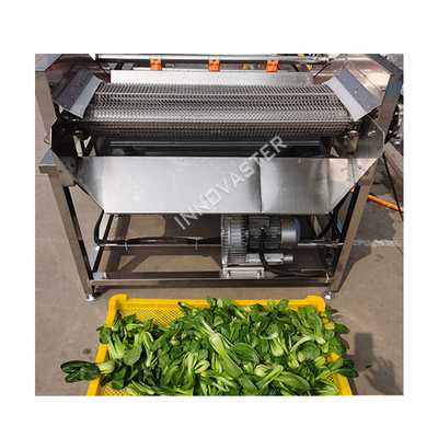 Récupération de l'eau Ozone feuille de citron Herbe pomme machine à laver pour distributeurs de boissons