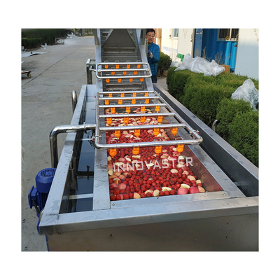 Récupération de l'eau type vortex Laveuse de légumes et de fruits avec conception avantageuse