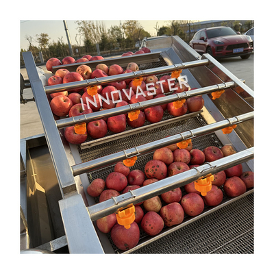 SUS 304 Machines de transformation des fruits et légumes Machines de lavage des pommes Séchage à la cire Sortieuse de boissons