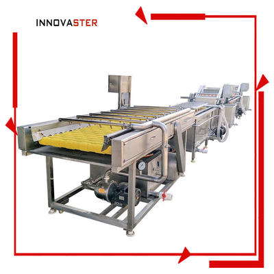 Machine de nettoyage de pommes de terre industrielle facile à utiliser pour le nettoyage des fruits et légumes