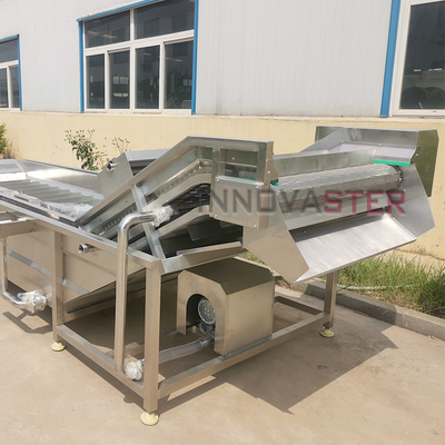 Machine de lavage de légumes à technologie de l' ozone avancée pour le chou, la betterave à sucre et plus encore