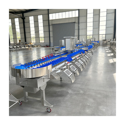220V/380V classificateur automatique de poids de poisson, huître, mangue, légumes, avocats pour le marché