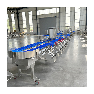 220V/380V machine automatique de tri du poids des pattes de poulet de concombre de mer pour le marché alimentaire