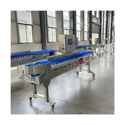 Machine de tri des fruits et légumes de pointe avec taille 6000x1250x1750mm