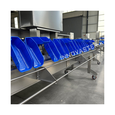 Ligne de production pour la viande de volaille
