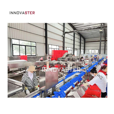 Machine automatique de tri pour les pattes de poulet et les concombres de mer dans les usines de transformation de viande
