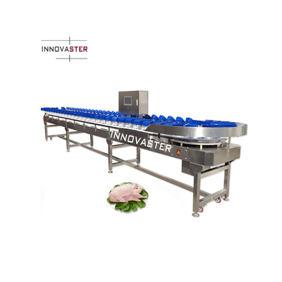Voltage 220V/380V courroie transporteuse Poulet poisson huître citron pomme de terre douce machine de tri du poids