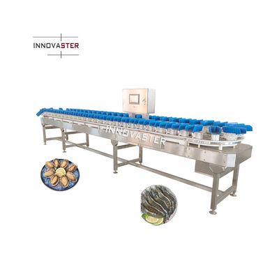 Sortieuse de tomates de cerisier en acier inoxydable 304