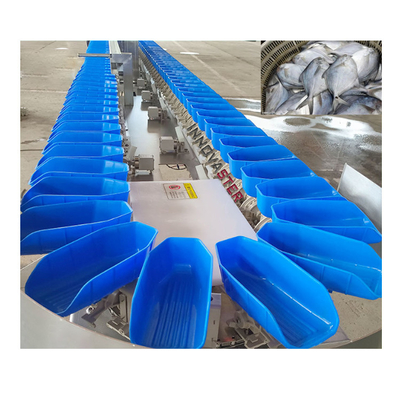 6000x1250x1750mm 304 en acier inoxydable équipement de tri intelligent des filets de carottes et de poissons