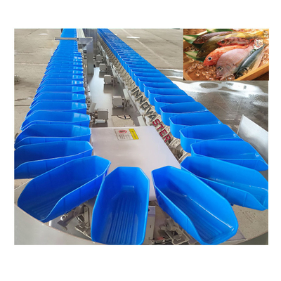 Équipement de transformation du poisson Facile à utiliser Rotary Grader Oysters Weight Sorting Machine 220V/380V