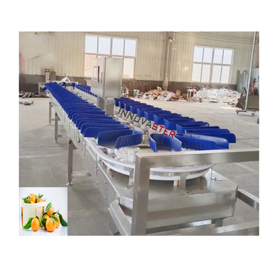 6000x1250x1750mm Haute précision Orange Produits de mer congelés Poids de tri de la machine Performance