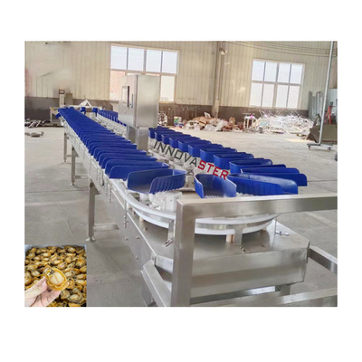 Vérifiez le poids de la boutique alimentaire machine de tri du poids des huîtres pour les fruits et légumes 6000x1250x1750mm