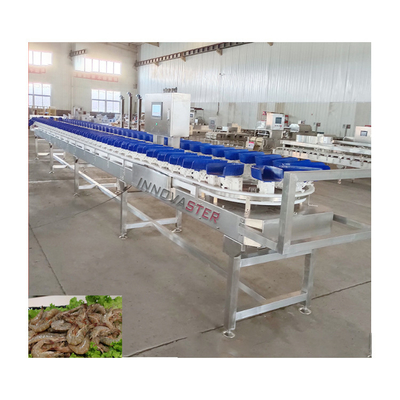 Machine de tri en poids de 500 kg pour le tri de la mangue dans une bande transporteuse pour aliments surgelés