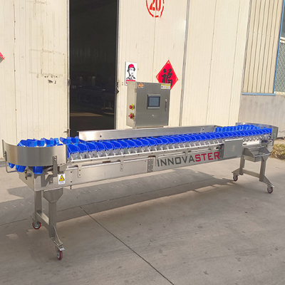 Machine de tri en poids de type convoyeur à courroie pour les fruits et légumes/poissons/fruits de mer