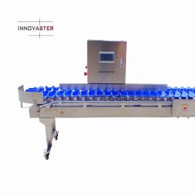 Rationalisez votre processus de tri du poisson d'huître avec la machine de tri en poids multi-trais
