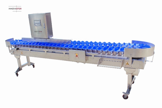 Rationalisez votre processus de tri du poisson d'huître avec la machine de tri en poids multi-trais