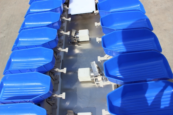 Rationalisez votre processus de tri du poisson d'huître avec la machine de tri en poids multi-trais