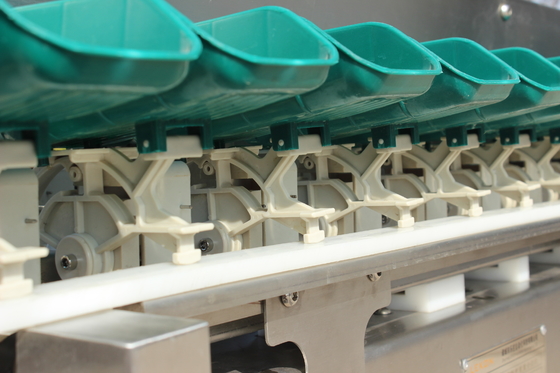 Rationalisez votre processus de tri du poisson d'huître avec la machine de tri en poids multi-trais