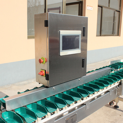 Machine automatique de tri du poids du poulet pour le tri en acier inoxydable