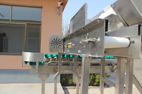 Machine à trier le poisson d'huître à poids rotatif à grande vitesse à plateaux multiples pour la transformation de la viande