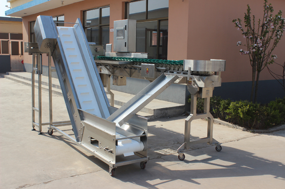 Machine à trier le poisson d'huître à poids rotatif à grande vitesse à plateaux multiples pour la transformation de la viande